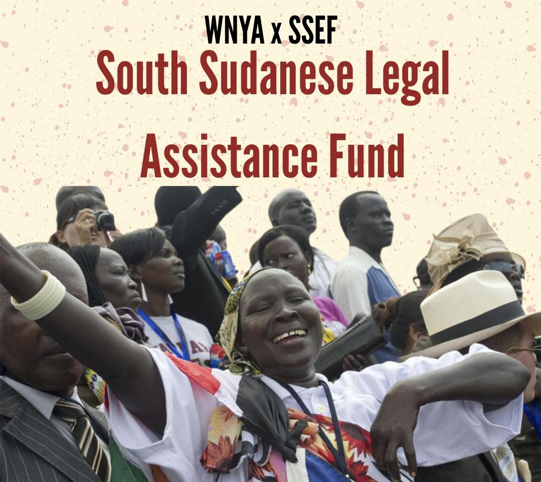 Campaign cover image for South Sudanese Legal Assistance Fund 🇸🇸