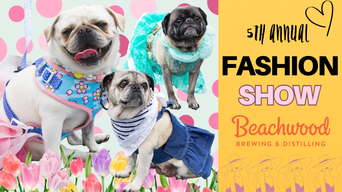Campaign cover image for Pug Nation's 5th Annual Fashion Show at Beachwood Brewing