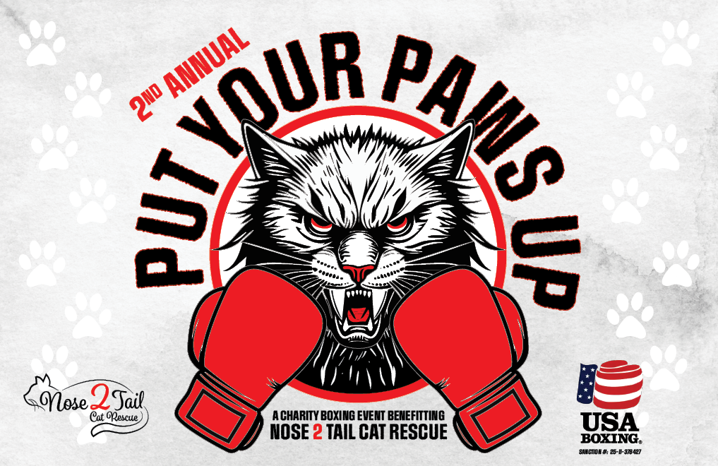 Campaign cover image for Put Your Paws Up Charity Boxing Event 2025