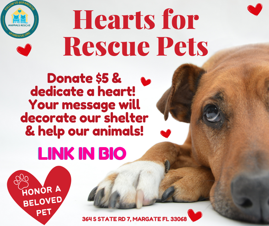 Valentine Heart With Your Message For Shelter Pets | UFAR Animals Rescue