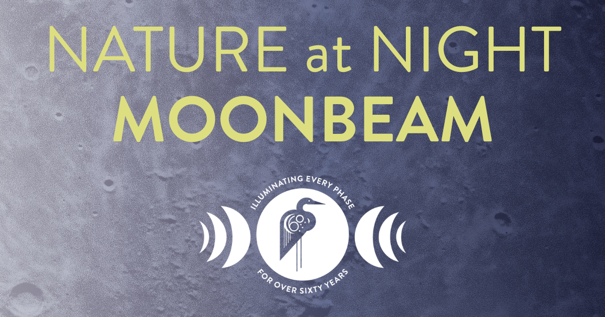 Campaign cover image for Nature at Night: Moonbeam 2026