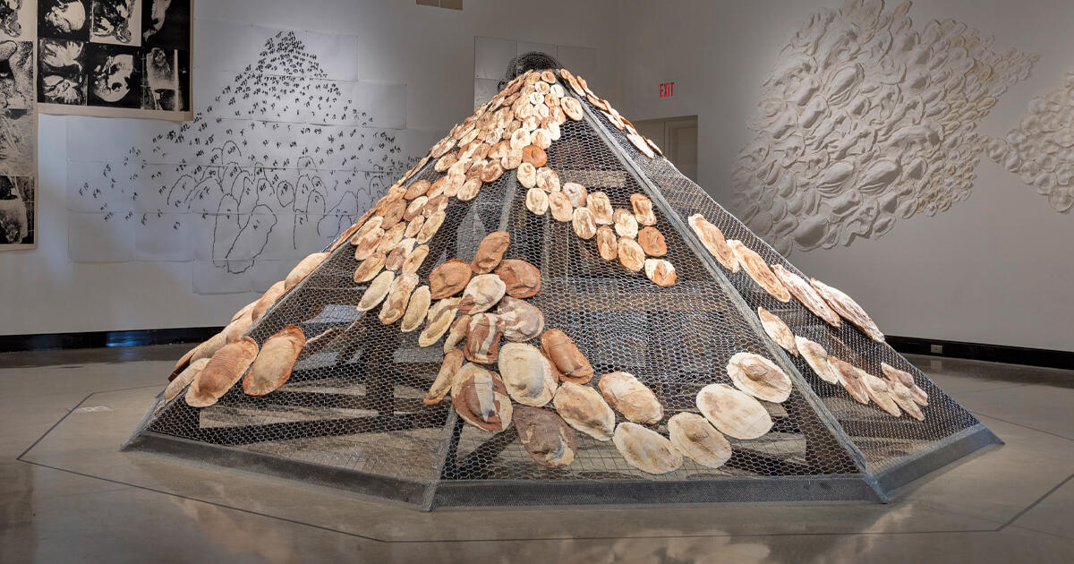 Campaign cover image for Exhibition Tour: Rimer Cardillo