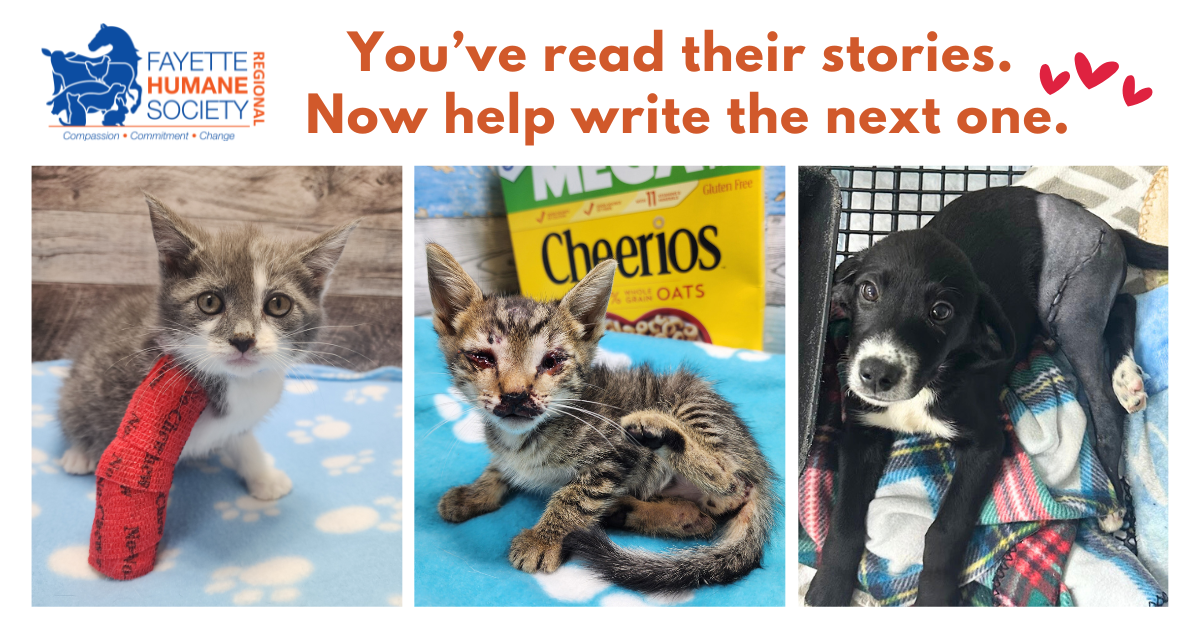 Campaign cover image for Fall Newsletter 2025