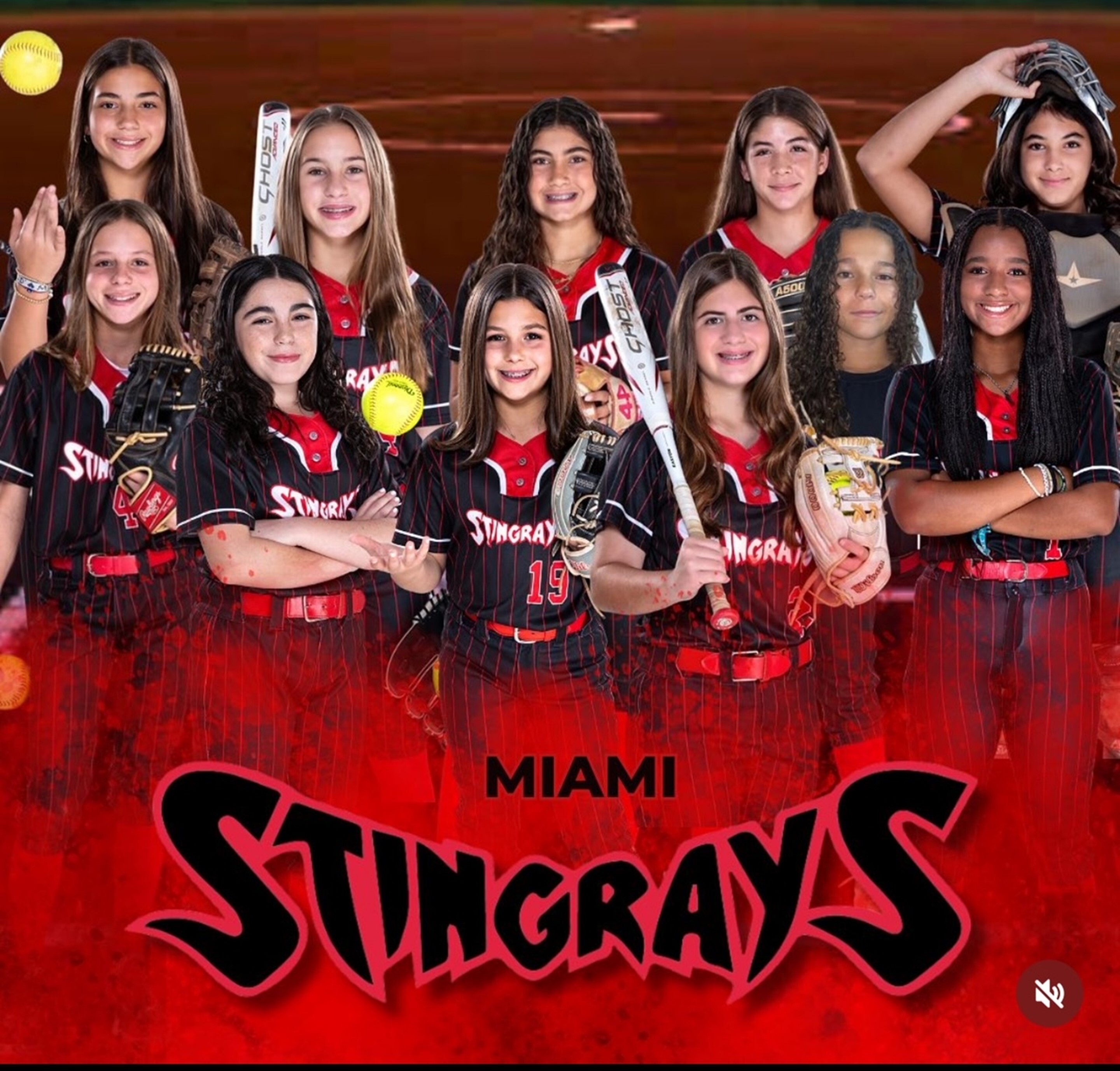 Campaign cover image for Miami Stingrays Softball 2011