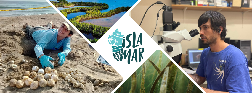 Campaign cover image for Seed Fund: 2026 Cohort