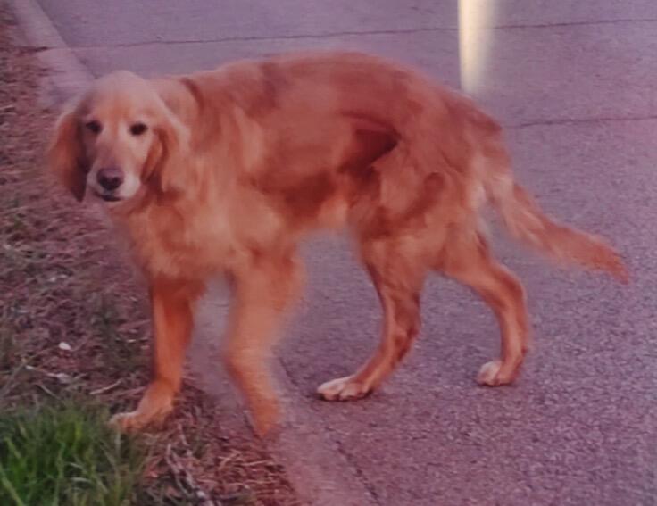 Campaign cover for Tammy HW+