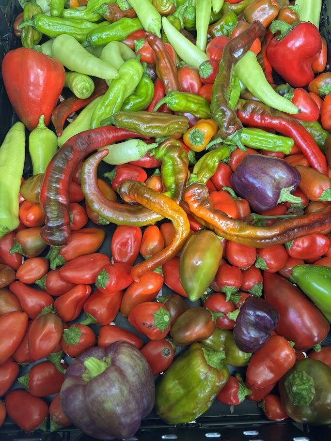 Campaign cover image for Hillsborough Community Garden - Annual Giving Campaign