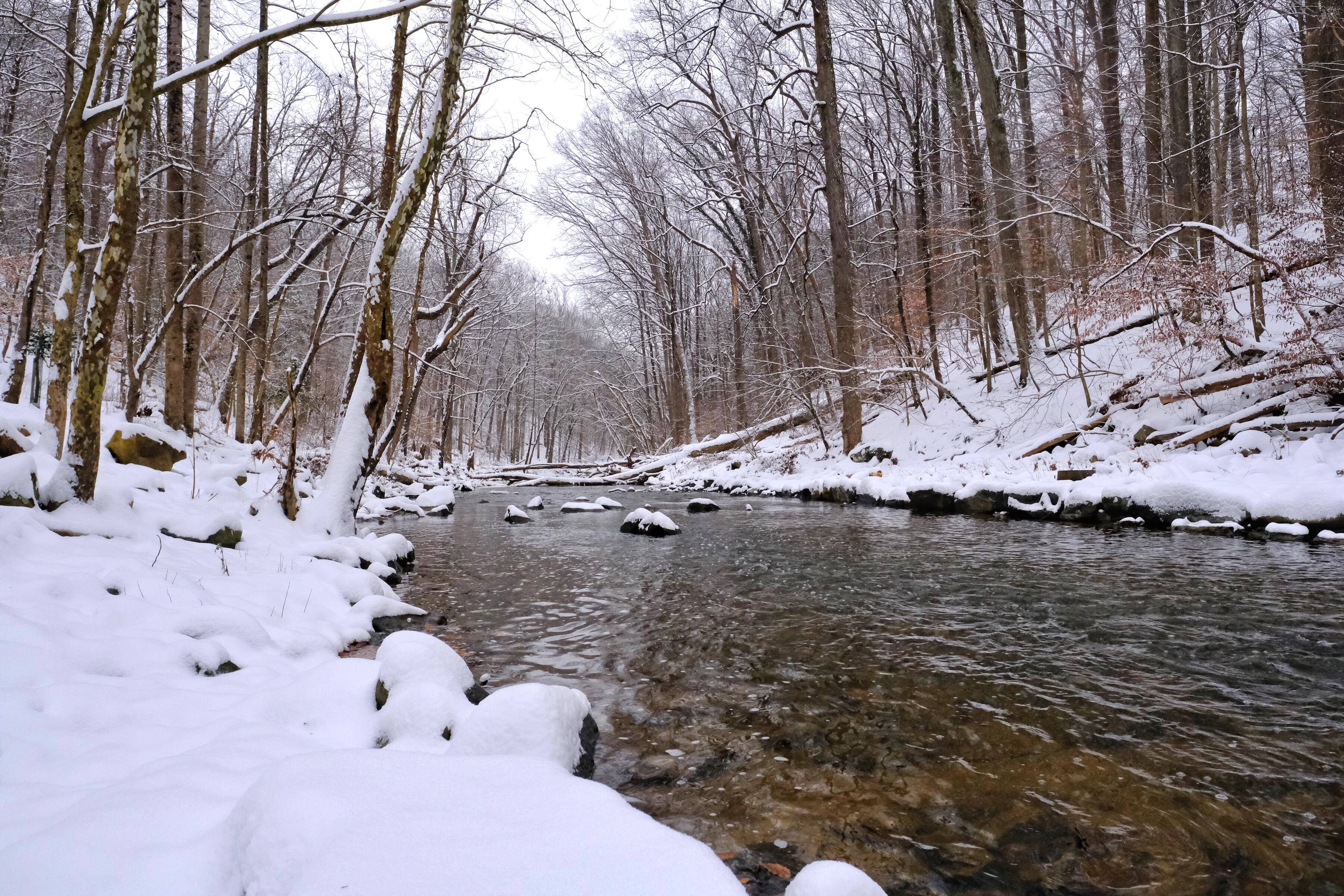 Campaign cover image for 2026 Winter Hikes