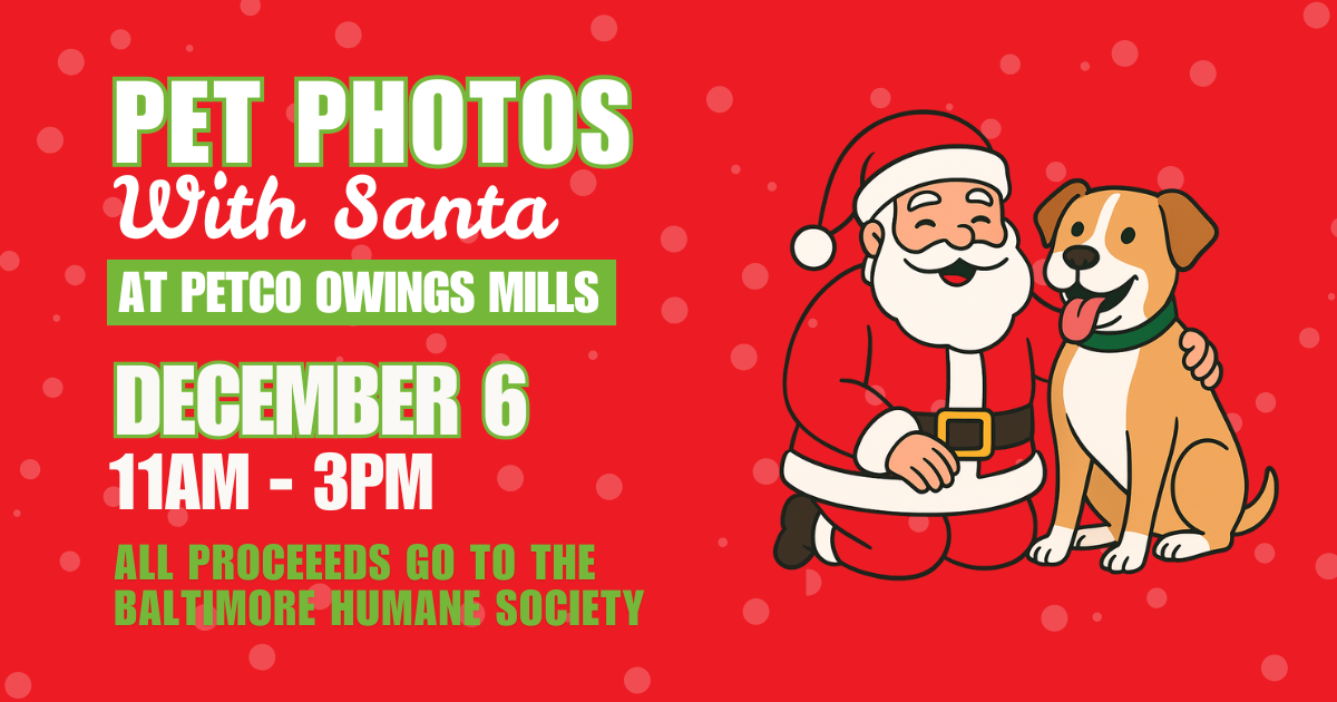 Campaign cover image for Photos With Santa!