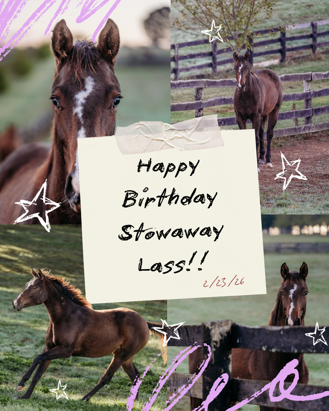 Campaign cover image for Stowaway Lass College Fundraiser