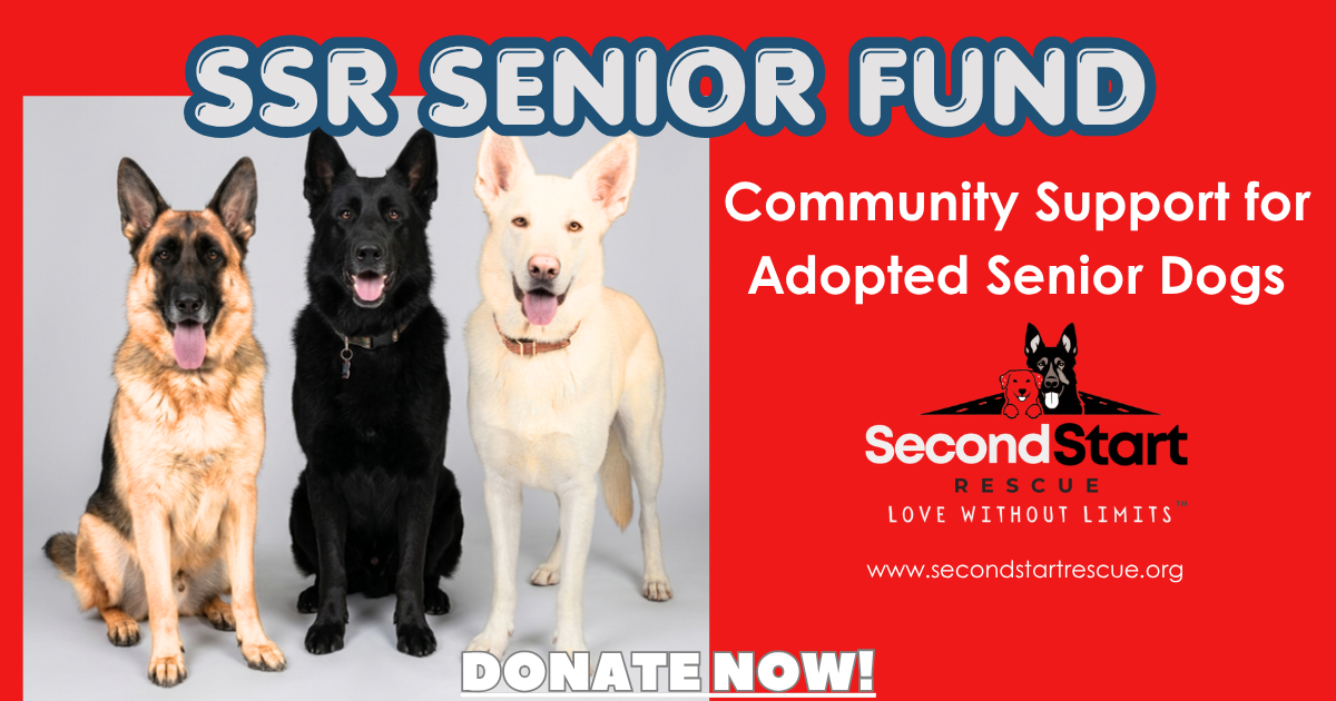 Campaign cover for Second Start Seniors