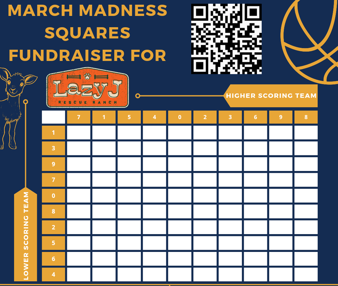 Campaign cover image for March Madness Squares Fundraiser for Lazy J Rescue Ranch