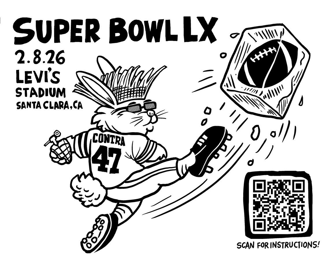 Campaign cover image for FLAGS IN THE STANDS