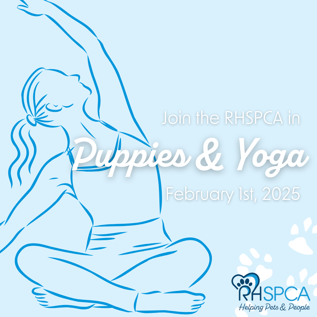 Campaign cover image for Puppies & Yoga with the RHSPCA