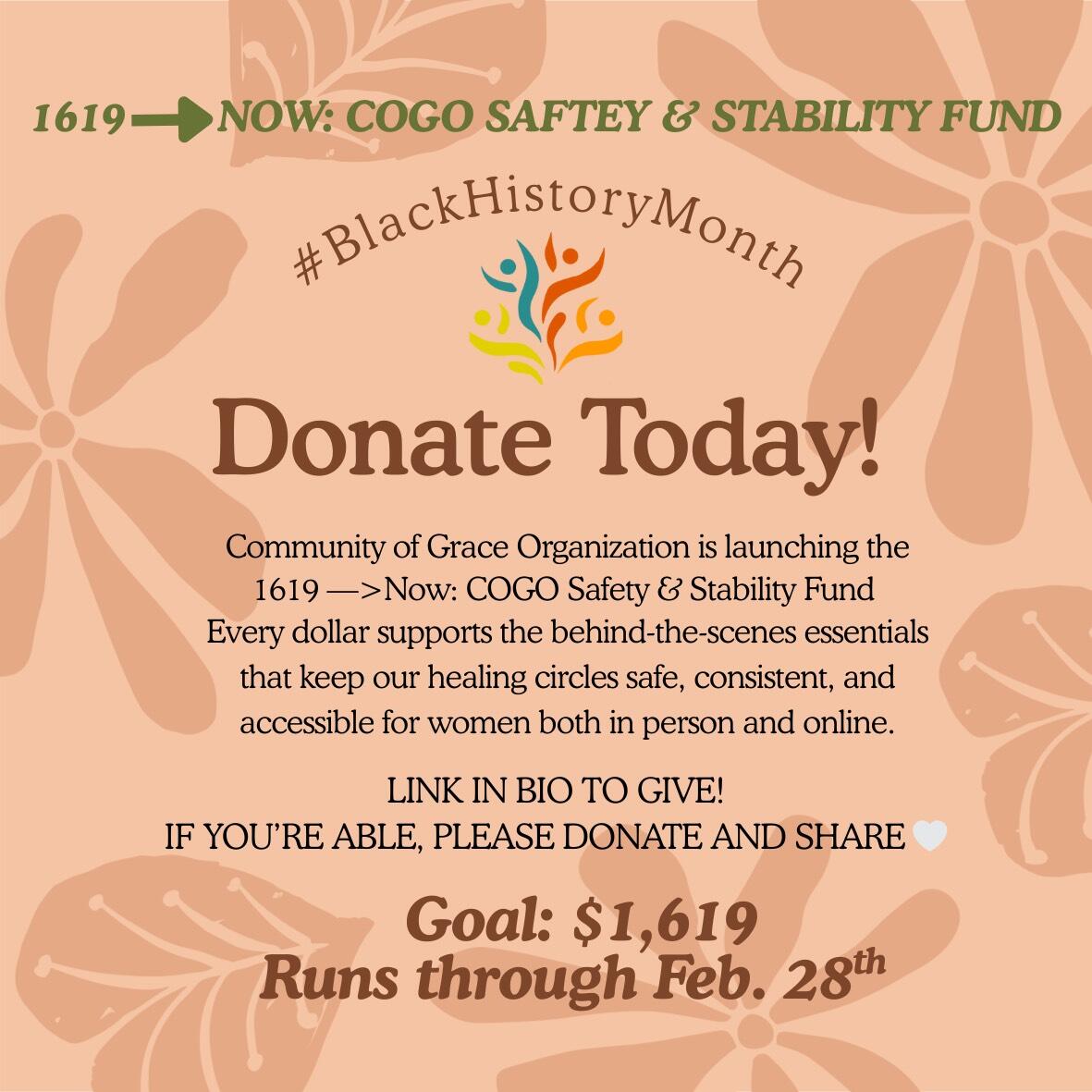 Campaign cover for 1619 —>Now: COGO Safety & Stability Fund ✊🏾