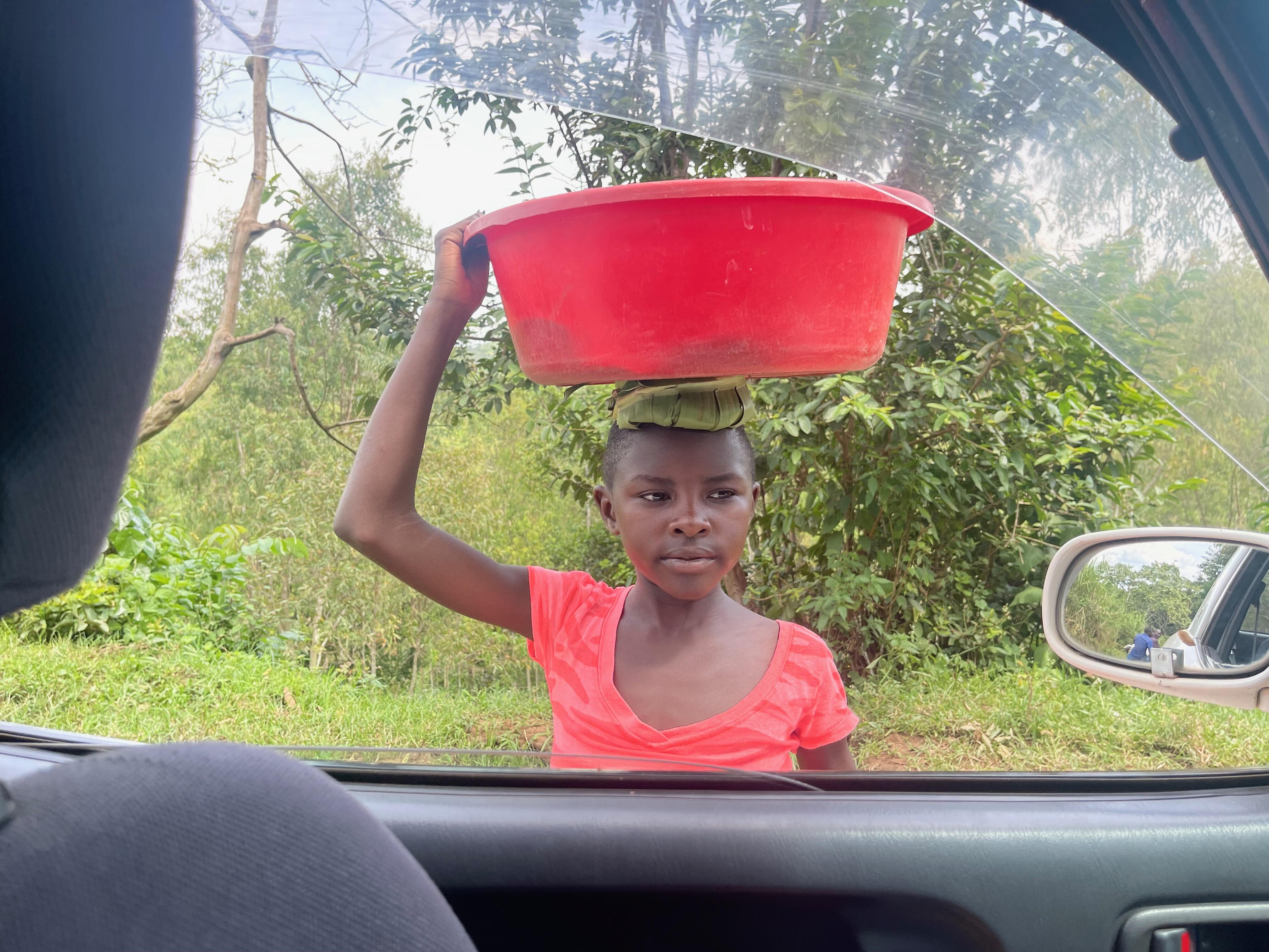 Campaign cover image for New Year's Giving Campaign 2025