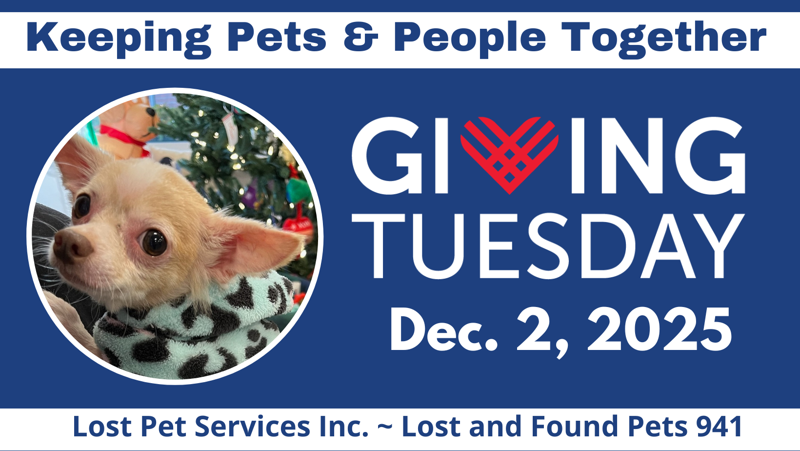 Campaign cover image for 🐾 Give Hope This Giving Tuesday — Support Lost Pet Services, Inc. 🐾