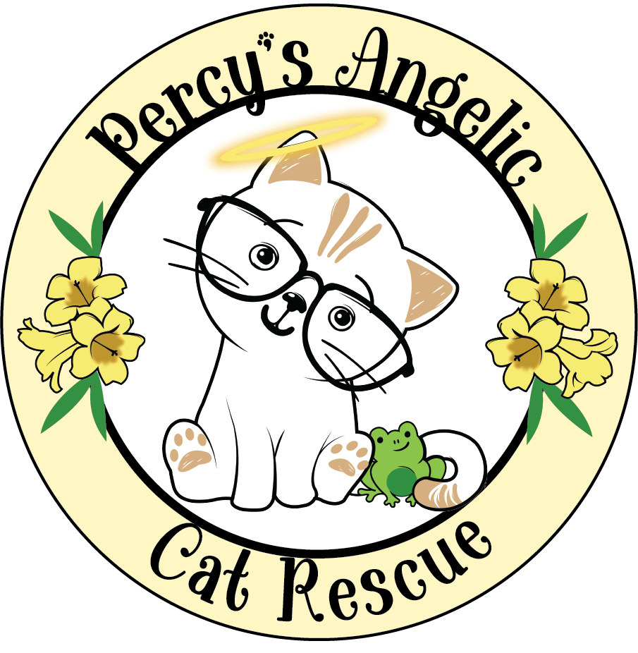 Campaign cover image for Cat'mas Silent Auction