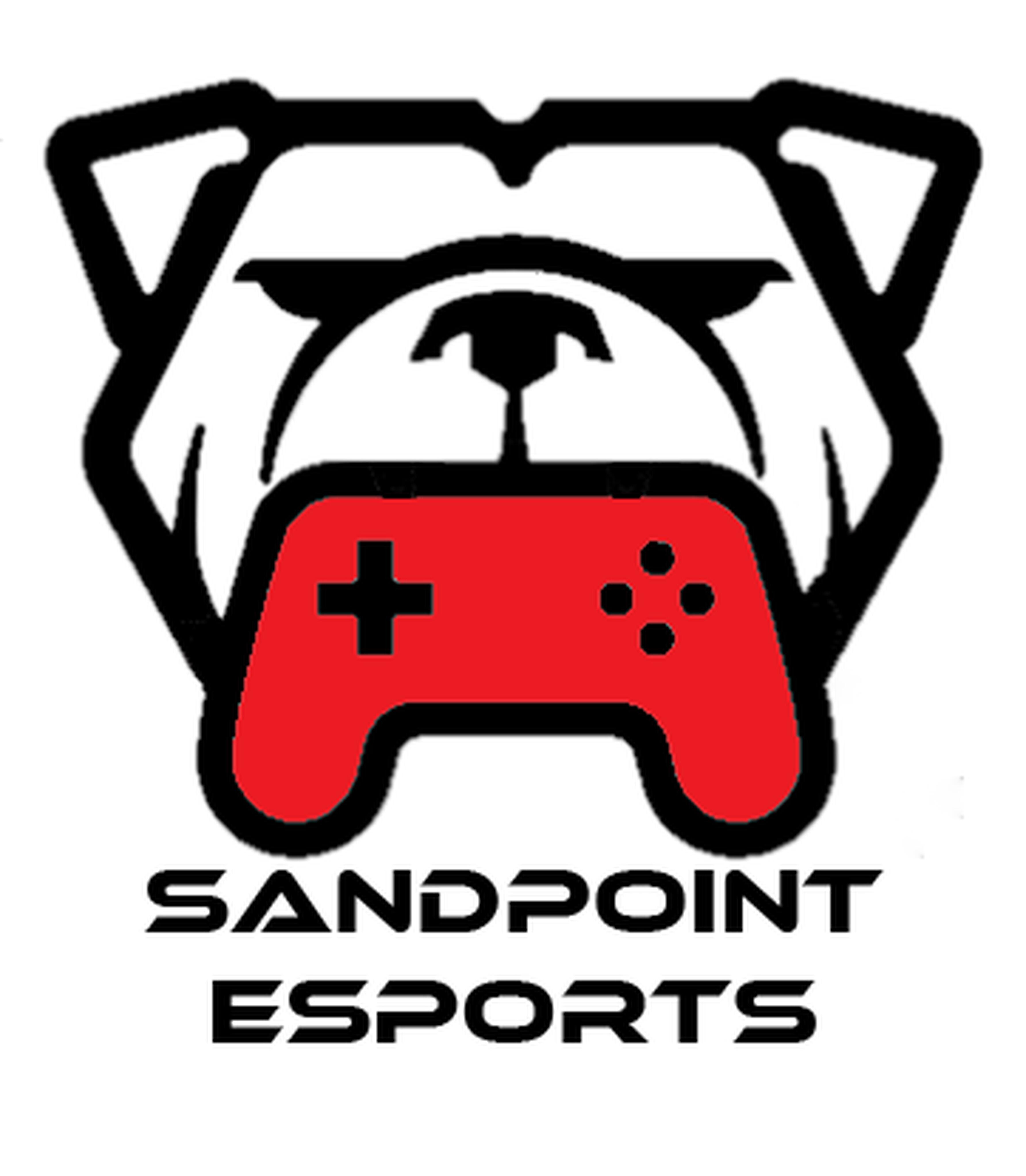Campaign cover image for Sandpoint Esports Smash Bros Summer Camp