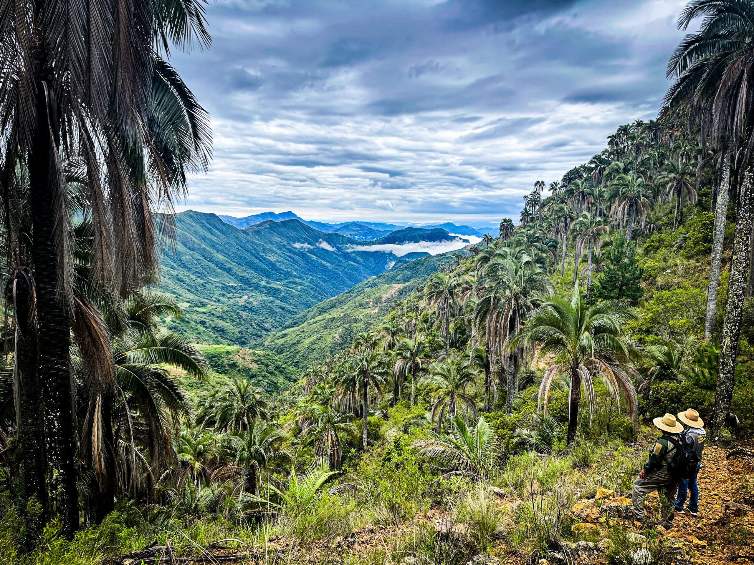 Campaign cover image for Helping People Helping Nature