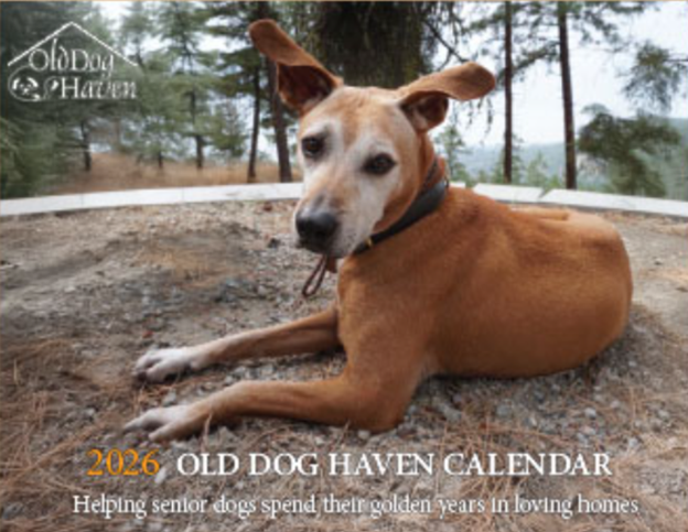 Campaign cover image for Old Dog Haven Calendar Release Party 2025