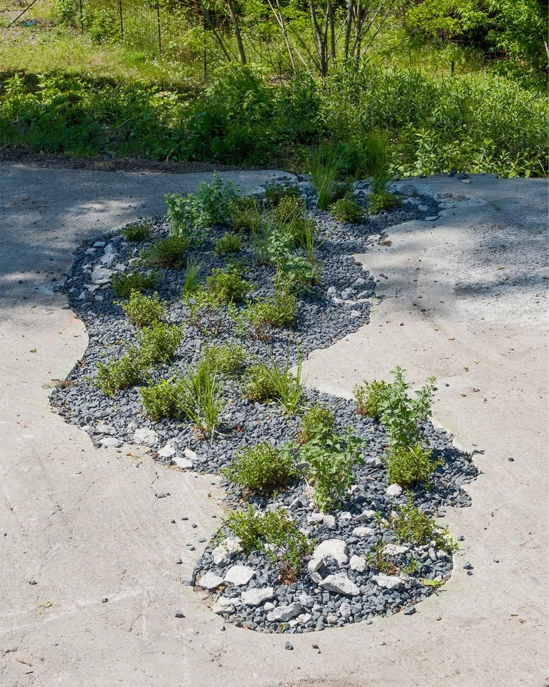 Campaign cover for Help build the Faultline Fissure Gardens