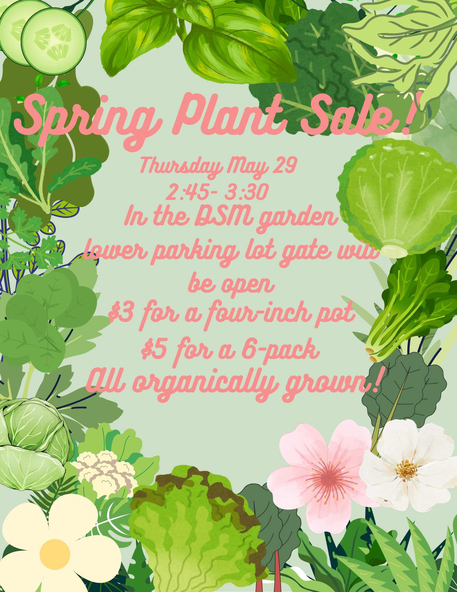 Campaign cover image for 🌿 Spring Plant Sale