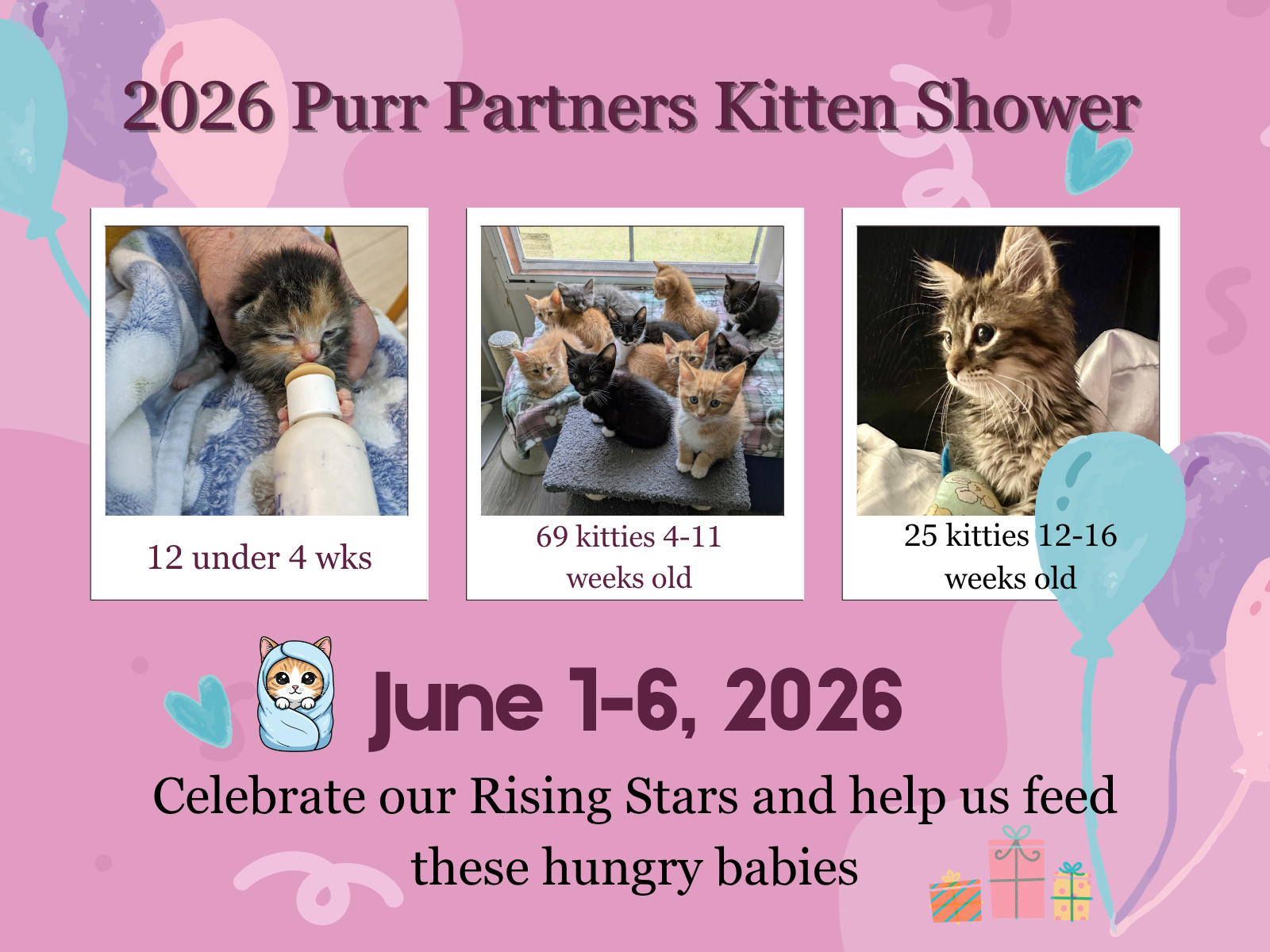 Campaign cover for Purr Partners' Kitten Shower 2026