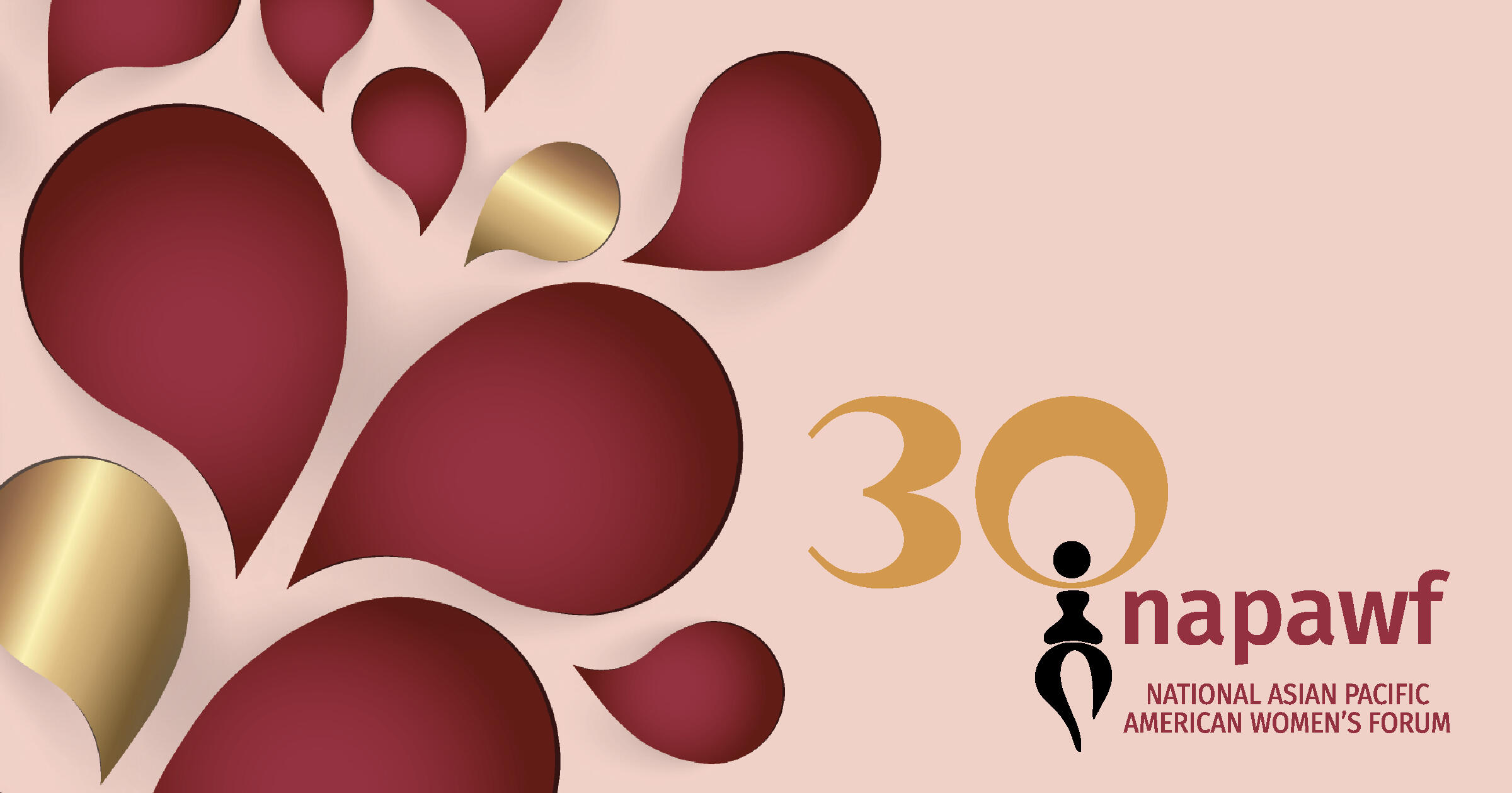 Campaign cover image for NAPAWF’s 30th Anniversary Gala