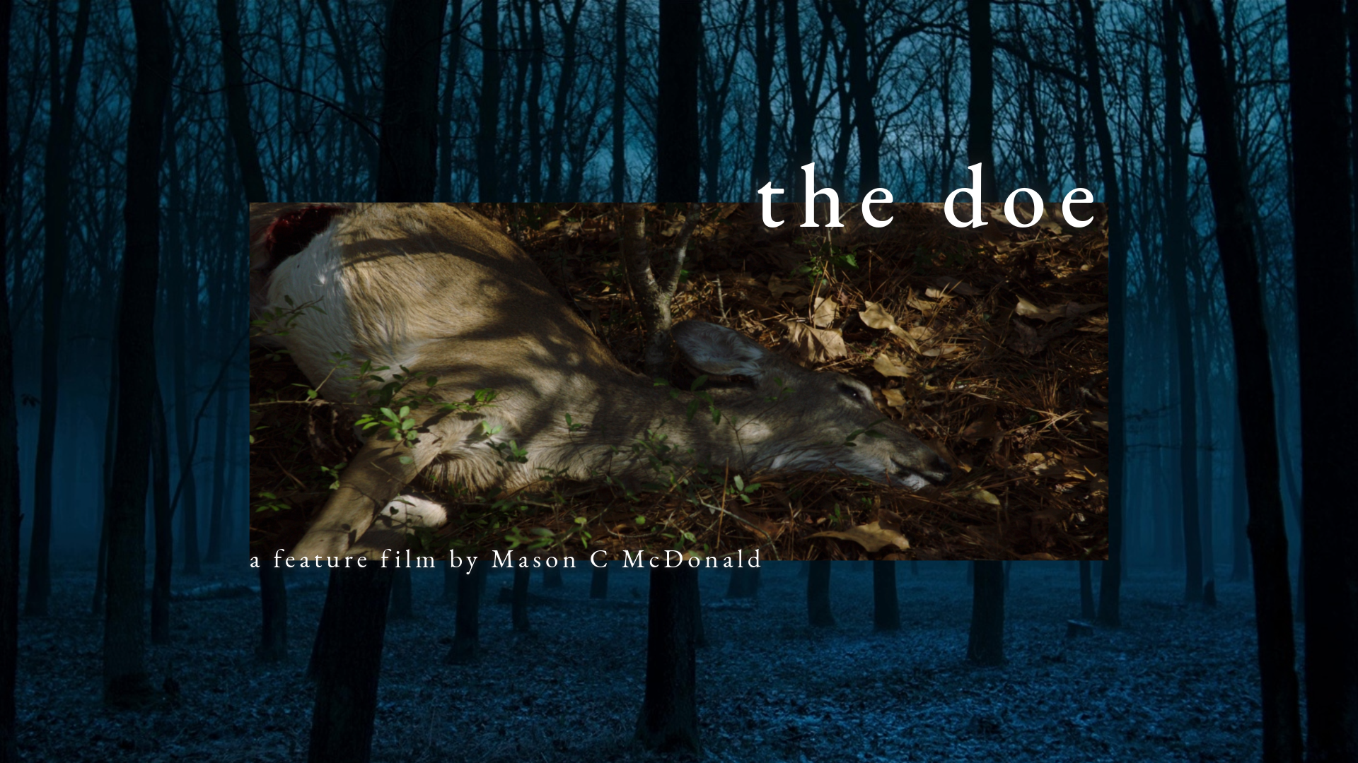Campaign cover image for The Doe - A Folk Horror Feature Film