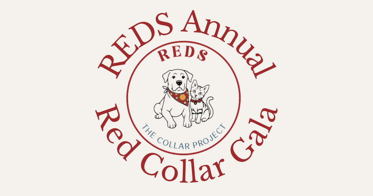 Campaign cover image for REDS Annual Red Collar Gala