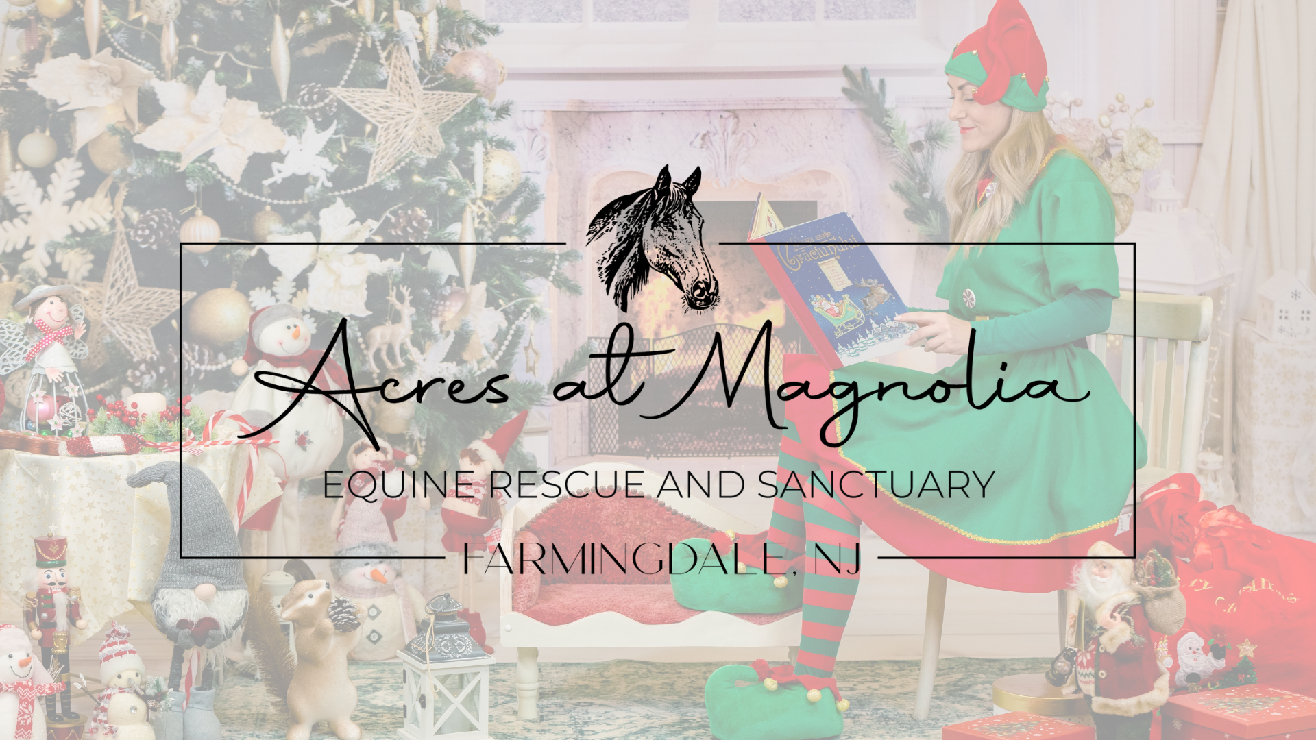 Campaign cover image for Storytime With Santa's Elf Dec. 7th