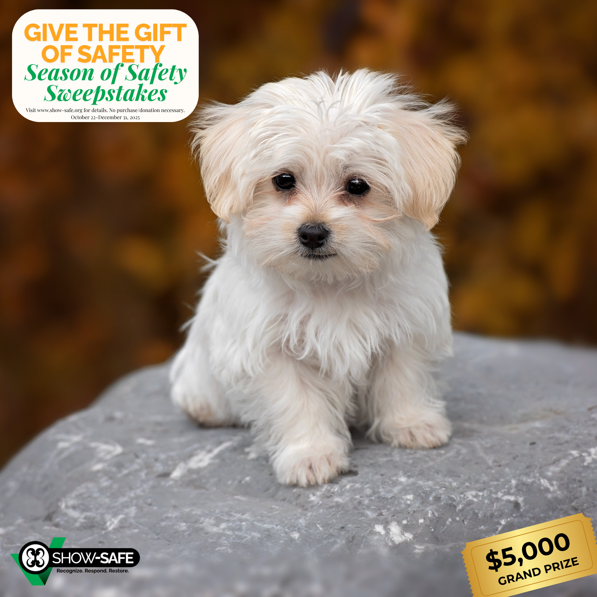 Campaign cover image for Season of Safety Sweepstakes 2025