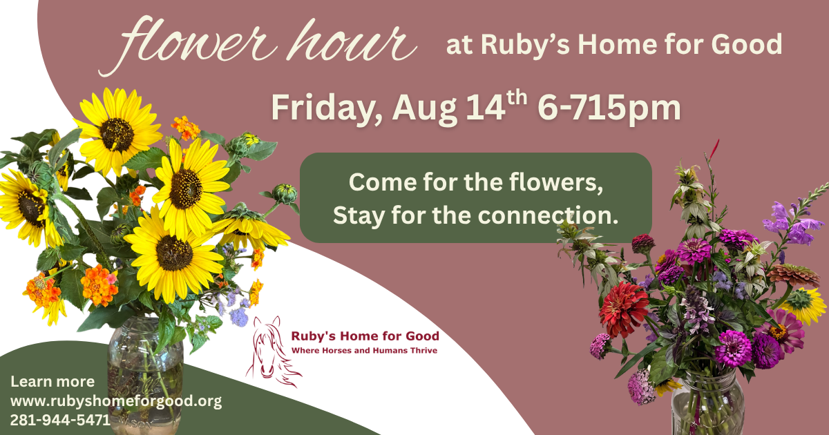 Campaign cover image for Flower Hour - An Evening at the Barn