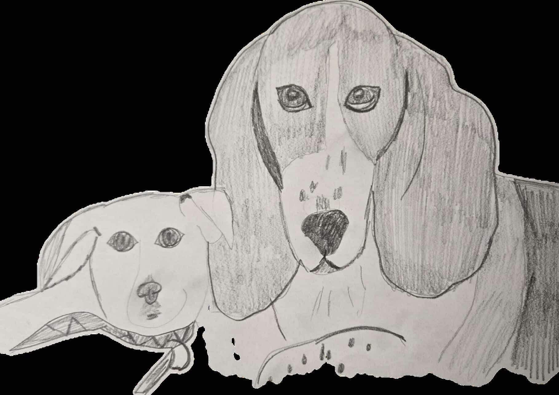 Campaign cover image for Badly Drawn Bassets (and Friends!)