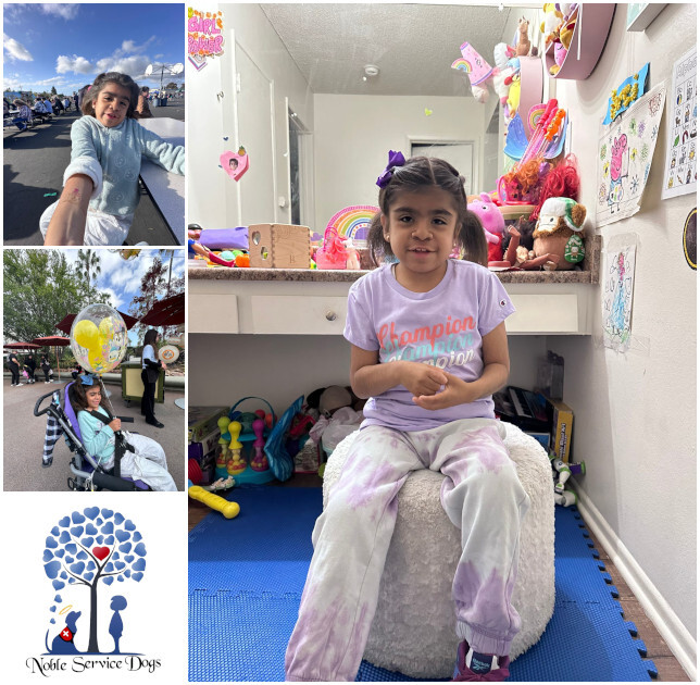 Campaign cover image for Service Dog for Luciana