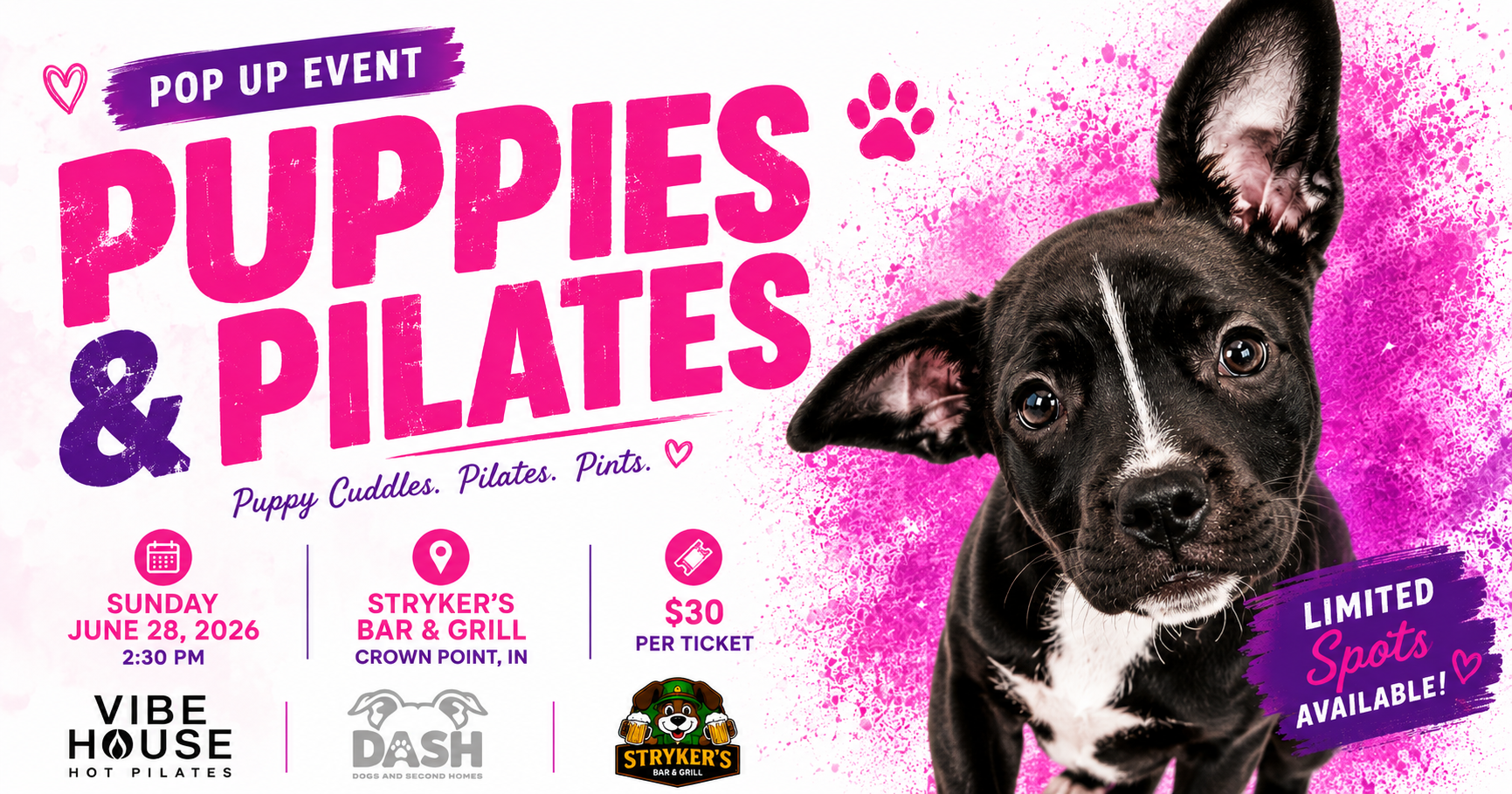 Campaign cover image for Puppies & Pilates