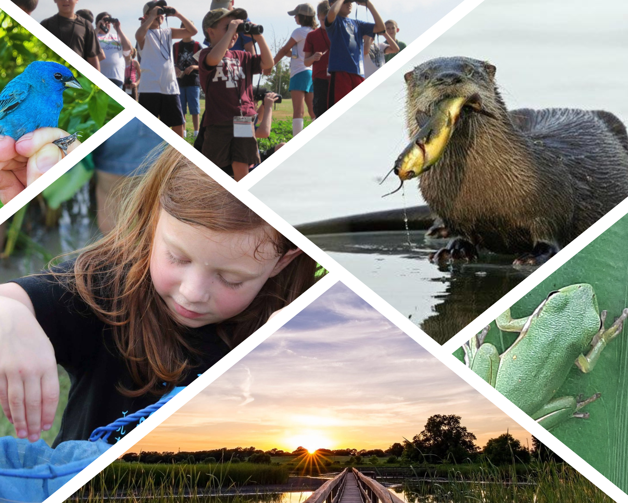 Campaign cover image for Spring Break Camp at the Wetland Center