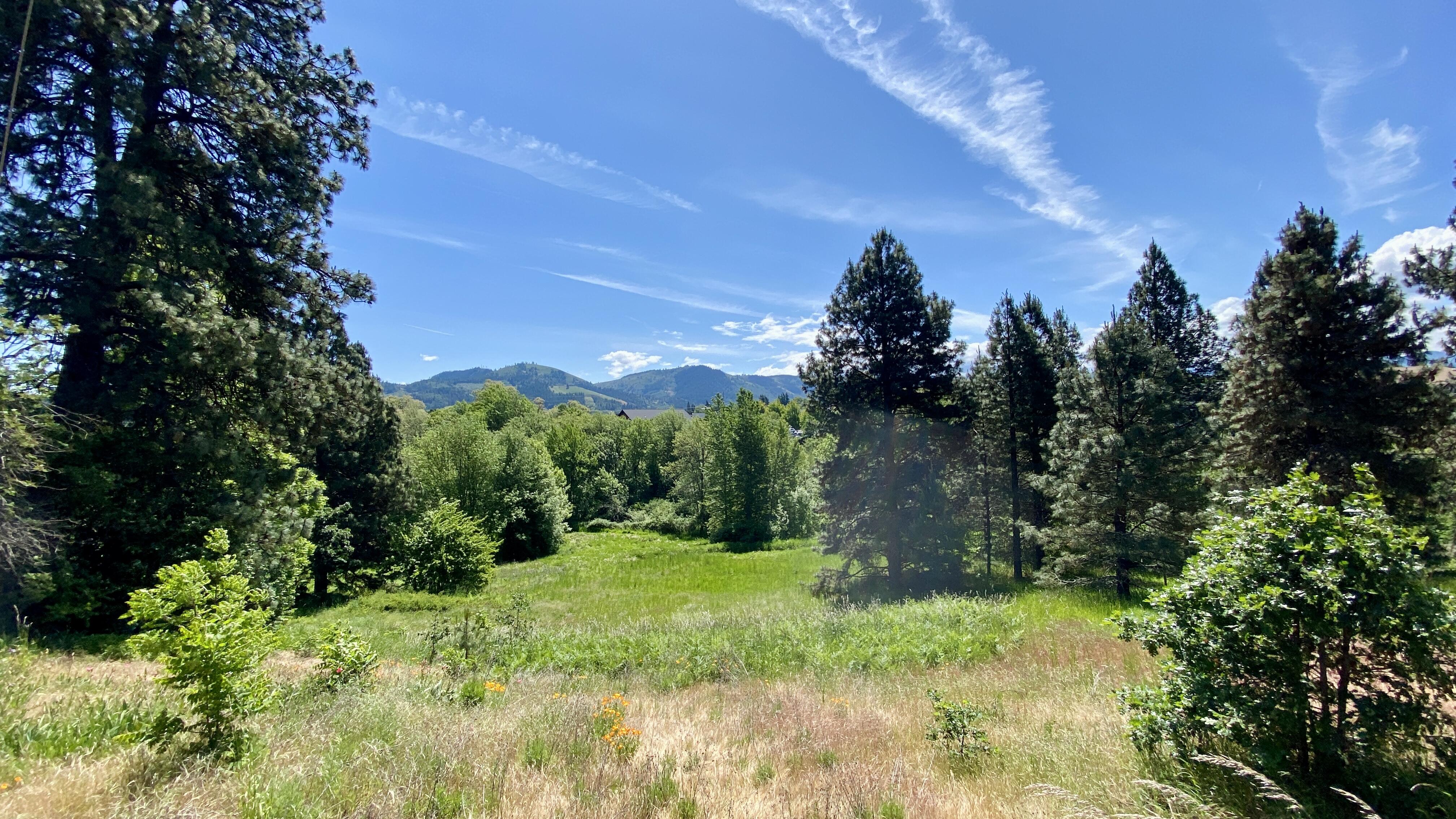 Campaign cover image for Indian Creek Trail Connection & Conservation