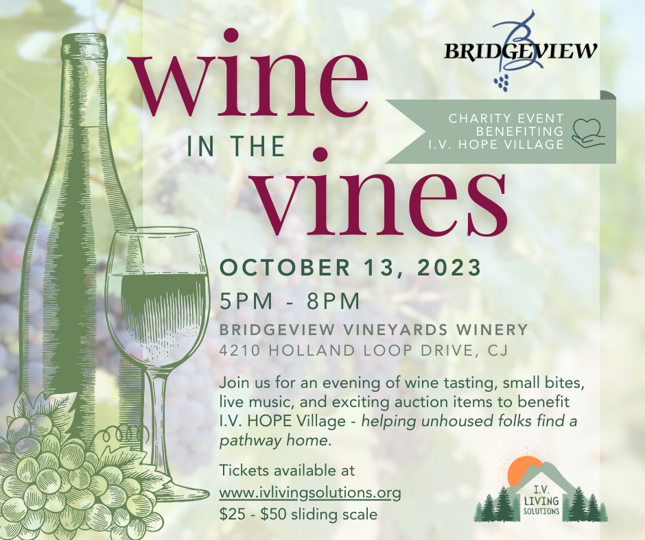 Campaign cover image for IV HOPE Village Fundraiser