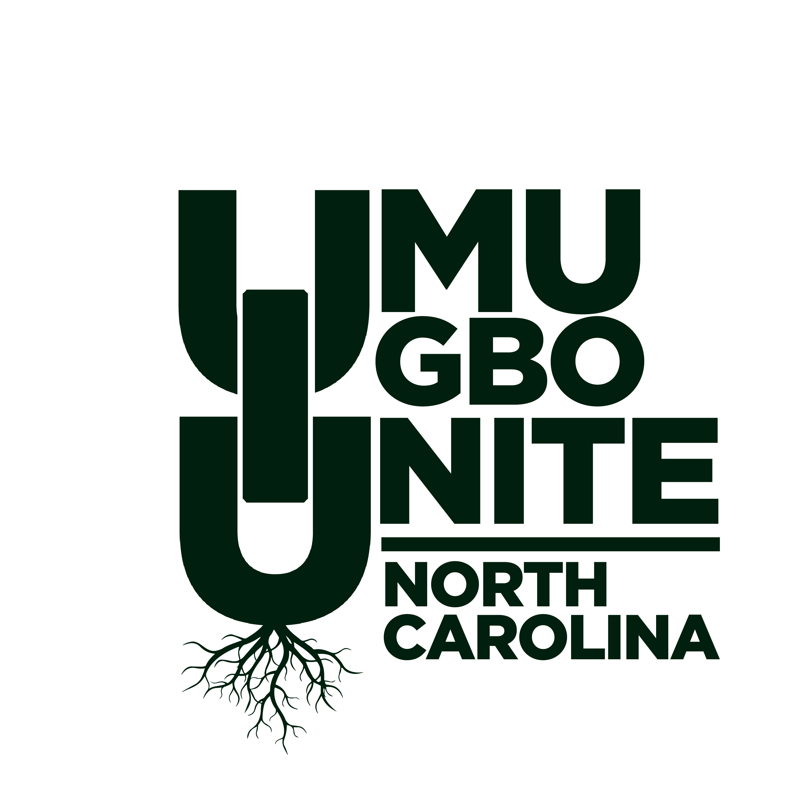Campaign cover image for UIU North Carolina Annual Back to School Drive