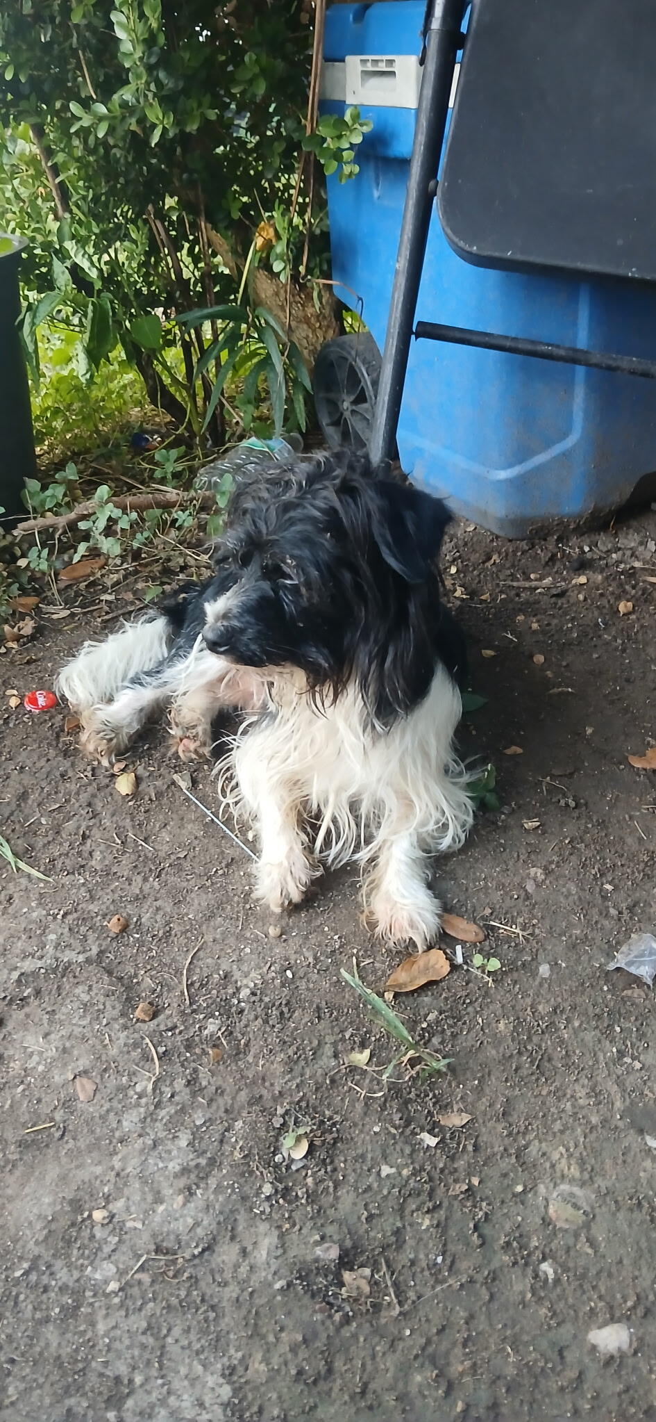 Campaign cover image for TRAPRS Medical 🐾