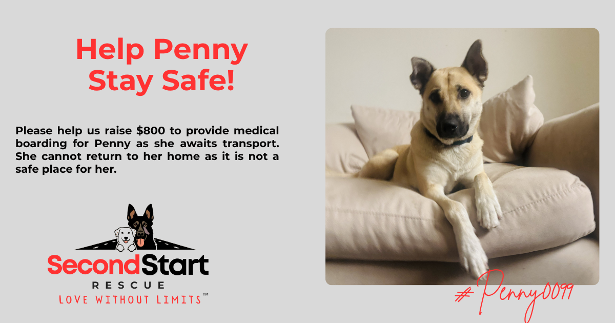 Campaign cover for Penny’s  Emergency Medical Boarding