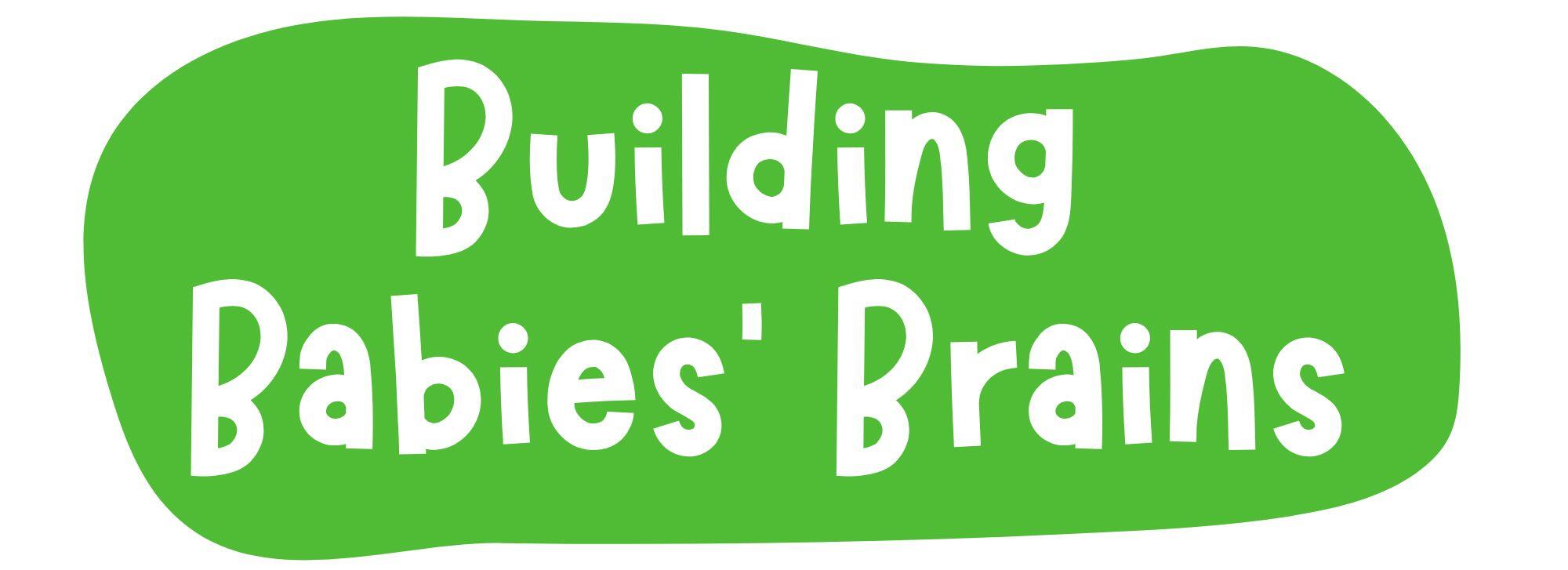 Campaign cover image for Building Babies' Brains