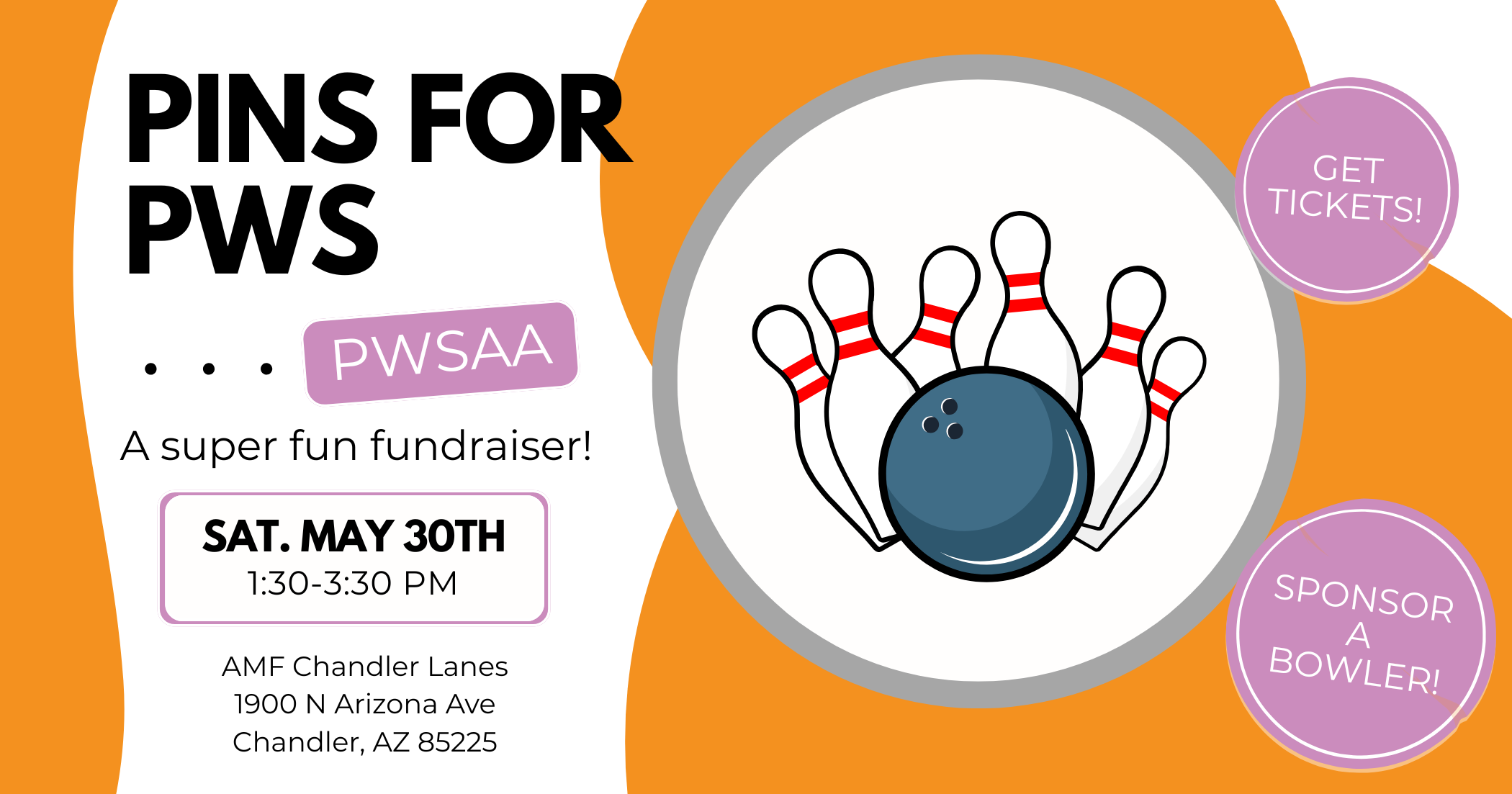 Campaign cover image for Pins for PWS