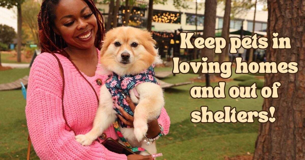 Campaign cover image for Affordable Pet Care in Clayton County and Beyond!