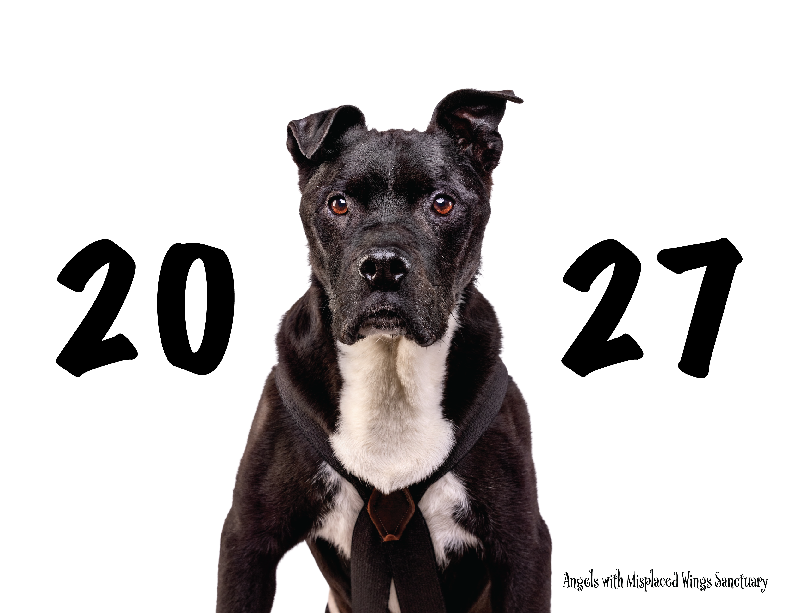 Campaign cover for 2027 Calendar