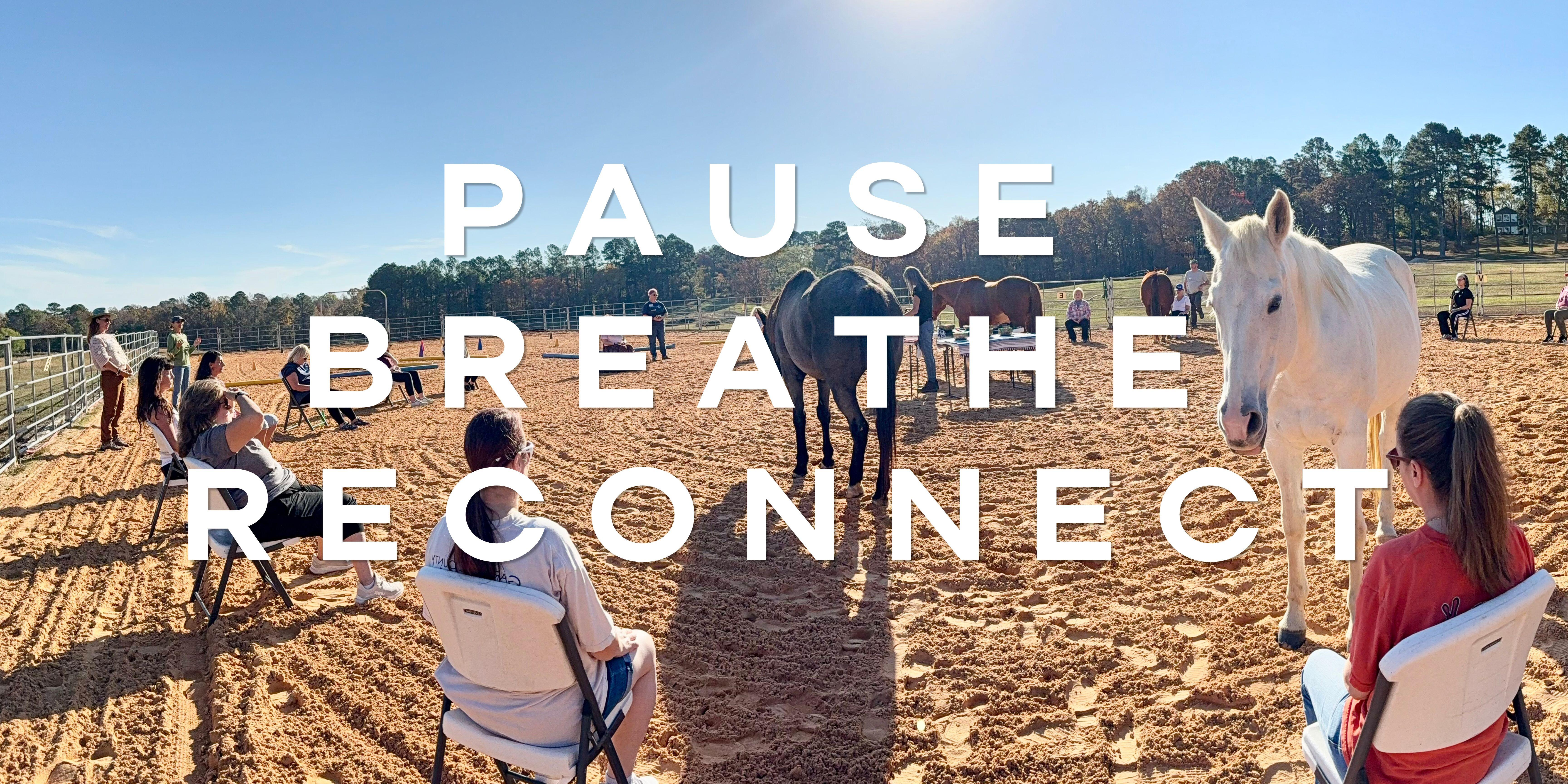 Campaign cover image for CONNECTING HEARTS 1 | Nov 14, 2026: Equine-Assisted Mindfulness & Breath Work Experience