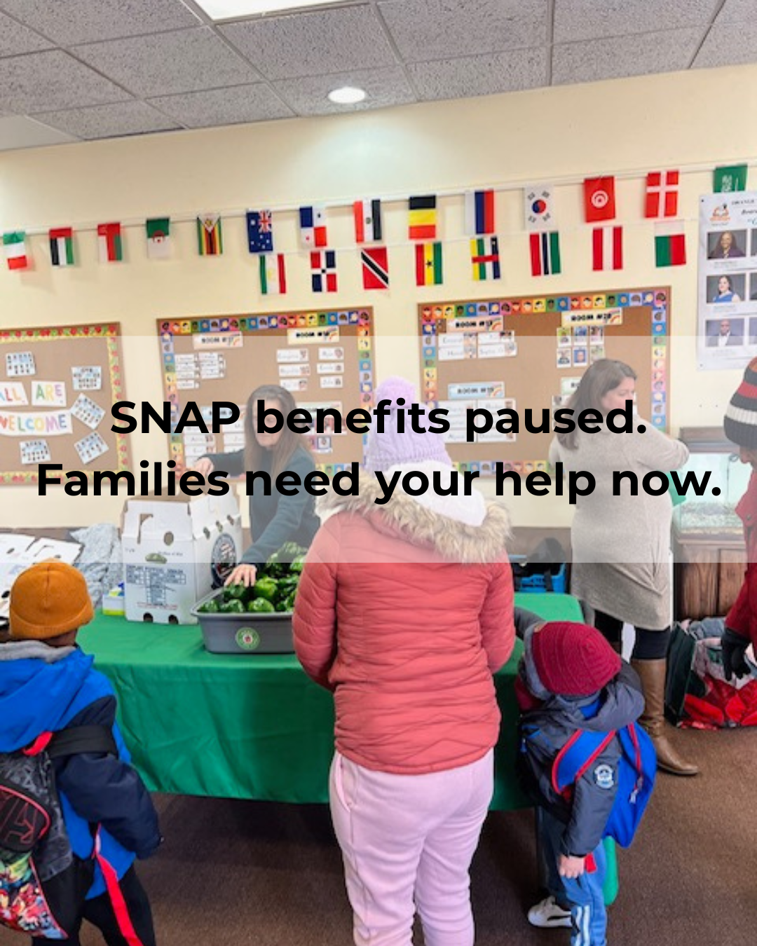Campaign cover image for Bridge the SNAP Gap: Donate Grocery Store Gift Cards