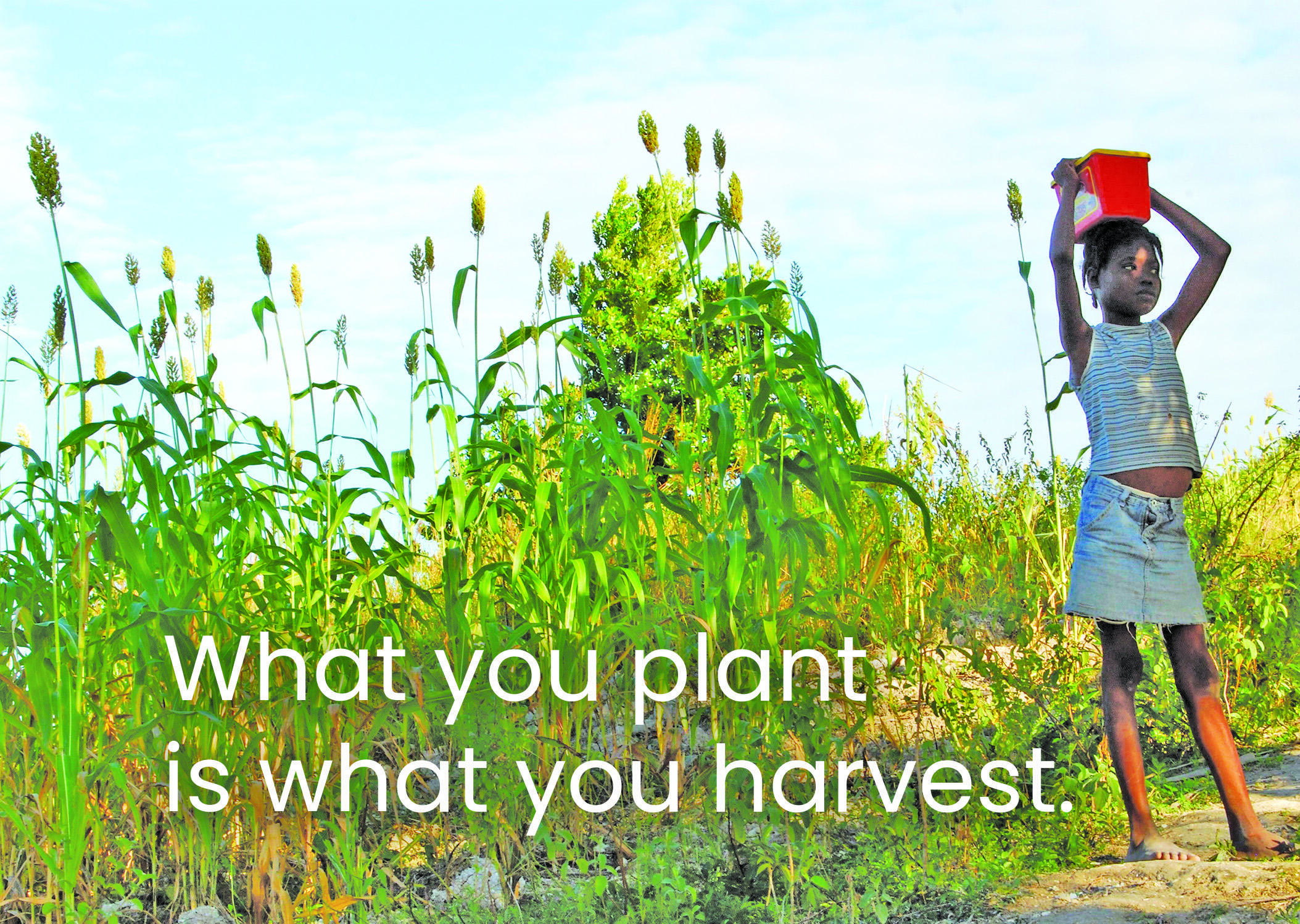 Campaign cover image for Haiti H2O: Hope to Opportunity - Investing in Haitian Led Solution in Southern Haiti